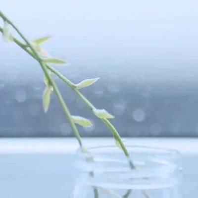 楚汉三国志手机版下载